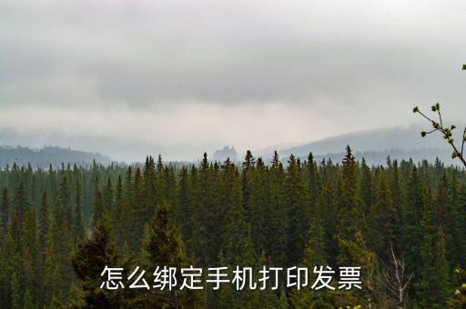 百旺電子發(fā)票如何綁定終端，尚未配備電子發(fā)票終端怎么處理