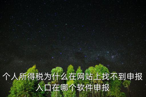 自然人如何申報，請問小規(guī)模個人所得稅在哪里申報怎么申報呢