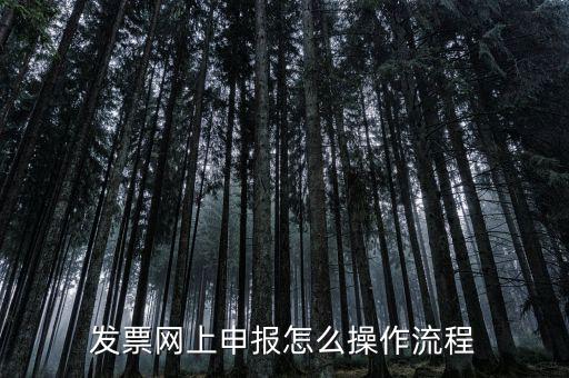 如何國(guó)稅局網(wǎng)上申請(qǐng)開(kāi)票，如何登錄稅務(wù)網(wǎng)上開(kāi)票