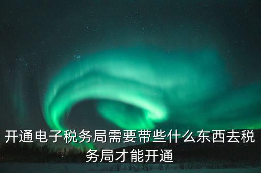 開通電子稅務局需要帶些什么東西去稅務局才能開通