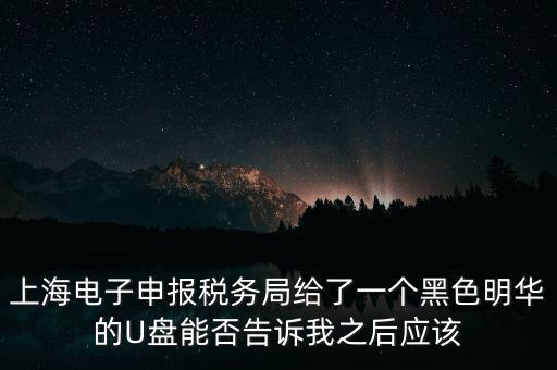 如何安裝上海網(wǎng)上電子申報系統(tǒng)，上海網(wǎng)上報稅u盾如何安裝