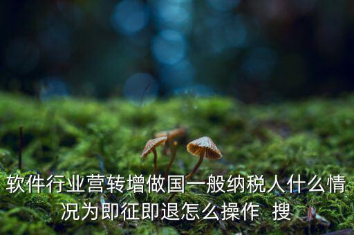 即征即退政策如何辦理，軟件行業(yè)營(yíng)轉(zhuǎn)增做國(guó)一般納稅人什么情況為即征即退怎么操作  搜