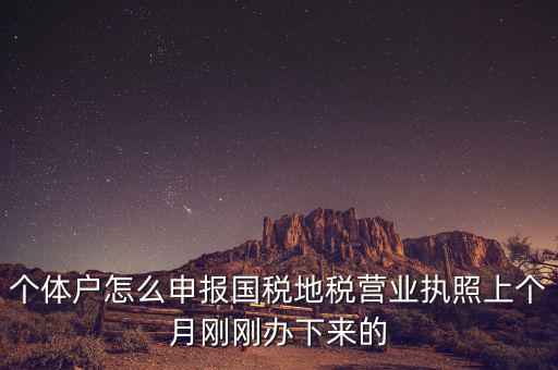 個(gè)體定額如何申報(bào)國稅，個(gè)體戶如何申報(bào)國稅和地稅