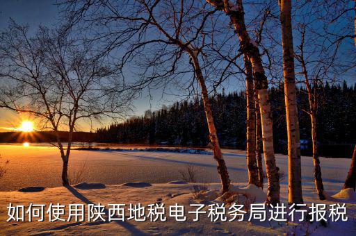 如何使用陜西地稅電子稅務(wù)局進(jìn)行報稅