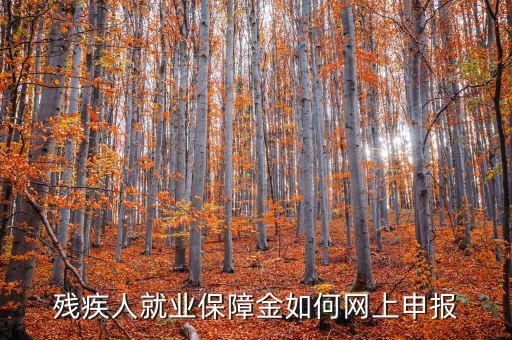 安徽殘疾人保障金如何網(wǎng)上申報(bào)，殘疾人就業(yè)保障金如何網(wǎng)上申報(bào)