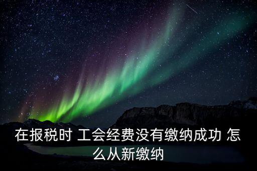 如何補繳工會經費，在報稅時 工會經費沒有繳納成功 怎么從新繳納
