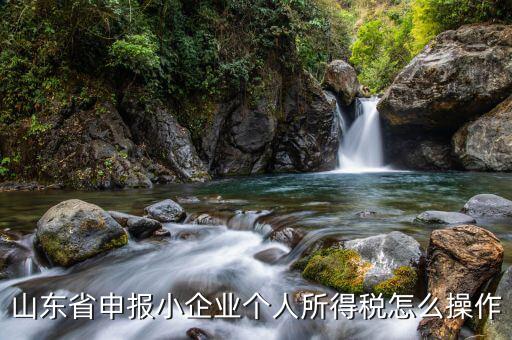山東省如何網(wǎng)上申報(bào)所得稅，山東國稅2008年度企業(yè)所得稅實(shí)行網(wǎng)上申報(bào)