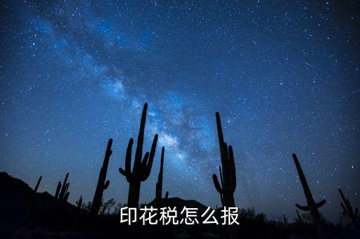 如何國(guó)稅申報(bào)印花稅，印花稅怎么報(bào)