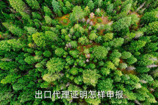 代理出口貨物證明如何報(bào)稅，出口代理證明怎樣申報(bào)