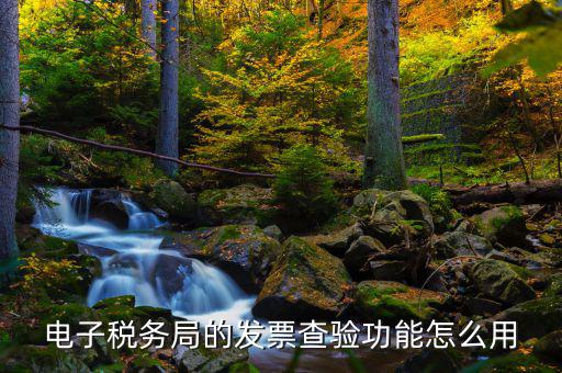 地稅的電子稅票如何查詢，電子稅務(wù)局的發(fā)票查驗功能怎么用