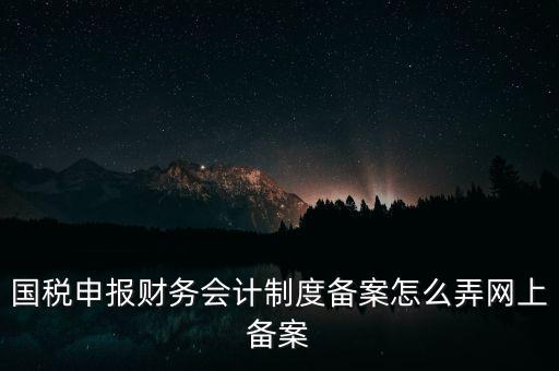 國稅申報財務(wù)會計制度備案怎么弄網(wǎng)上備案