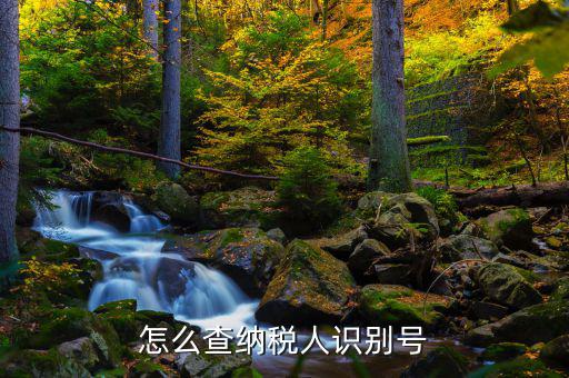 如何查詢(xún)個(gè)人納稅人識(shí)別號(hào)，納稅人識(shí)別號(hào)查詢(xún)