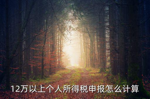 12萬個(gè)人申報(bào)如何計(jì)算，如何計(jì)算12萬元個(gè)人所得稅申報(bào)表