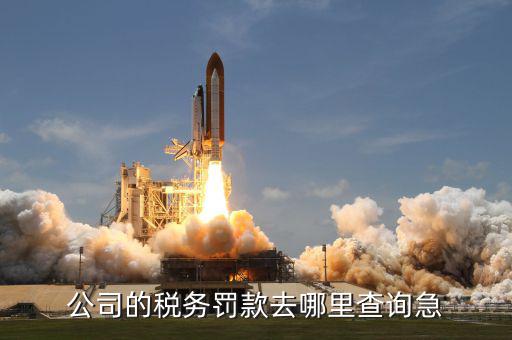 如何查稅收罰款，公司的稅務(wù)罰款去哪里查詢急