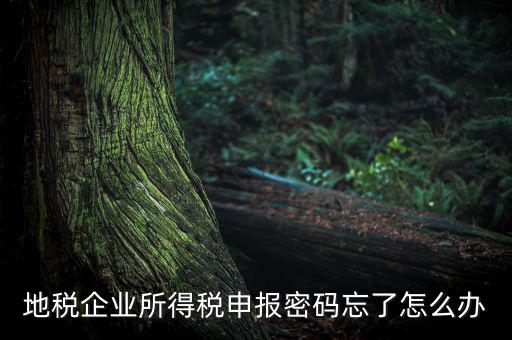 南京地稅密碼如何重置，個(gè)人所得稅忘記密碼之后如何進(jìn)行重置呢