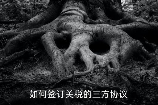 如何簽訂關稅的三方協(xié)議