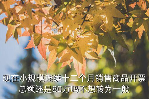 財(cái)稅2018 80號(hào)如何解讀，現(xiàn)在小規(guī)模連續(xù)十二個(gè)月銷(xiāo)售商品開(kāi)票總額還是80萬(wàn)嗎不想轉(zhuǎn)為一般