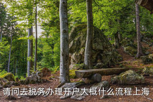 如何辦理稅務(wù)開戶，請(qǐng)問去稅務(wù)辦理開戶大概什么流程上海