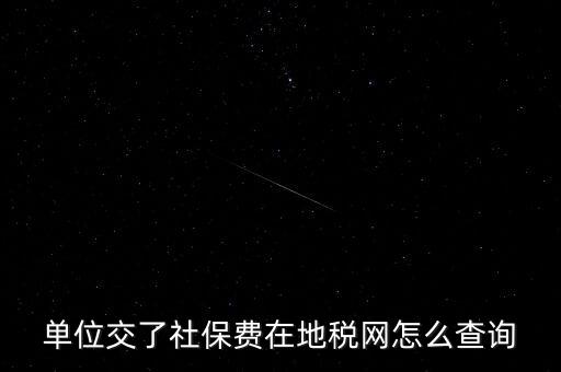 單位交了社保費(fèi)在地稅網(wǎng)怎么查詢(xún)