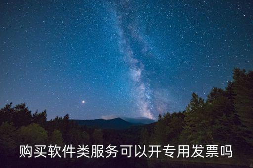 軟件采購專票如何開具，購買軟件類服務(wù)可以開專用發(fā)票嗎