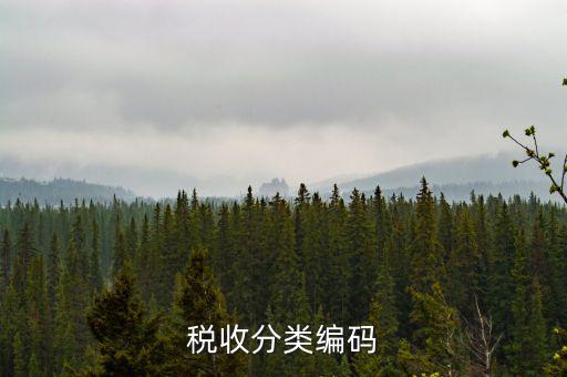 稅收分類(lèi)編碼