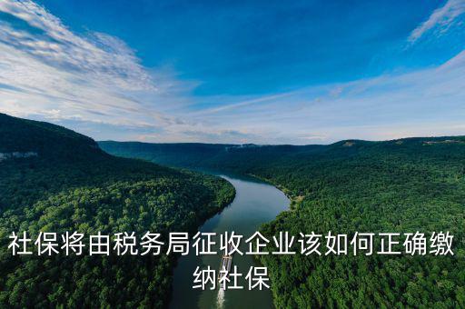 社保將由稅務局征收企業(yè)該如何正確繳納社保