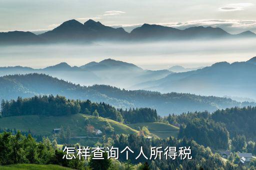 如何查詢個(gè)人交稅，個(gè)人所得稅繳納記錄怎么查詢