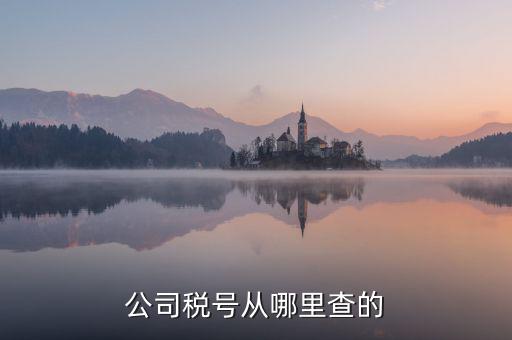 企業(yè)稅號(hào)如何查詢，公司稅號(hào)從哪里查的