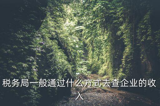 稅務(wù)如何統(tǒng)計(jì)收入，小規(guī)模增值稅季報(bào)在哪里統(tǒng)計(jì)收入
