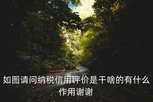 稅務(wù)如何評定信用如何打分，哪些涉稅行為會影響納稅信用等級評定