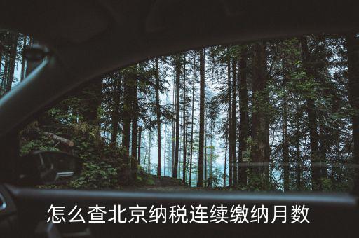 北京如何查到納稅記錄，怎么查詢納稅記錄