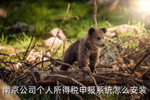 如何安裝金稅三期個稅安裝包，金稅三期在哪里下載