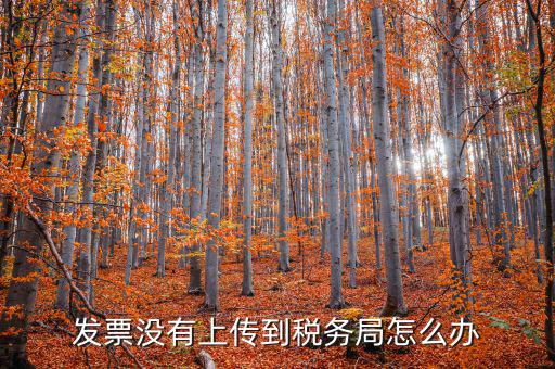 稅務(wù)局系統(tǒng)如何上傳發(fā)票嗎，發(fā)票沒有上傳到稅務(wù)局怎么辦