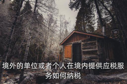 境外機(jī)構(gòu)如何繳納增值稅，來源于境外收入怎么交增值稅