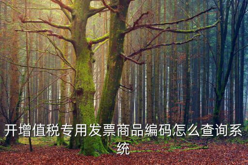 開(kāi)增值稅專(zhuān)用發(fā)票商品編碼怎么查詢系統(tǒng)