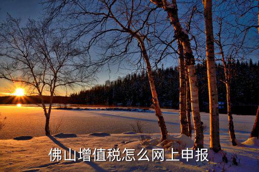 佛山地稅如何網(wǎng)上申報(bào)，佛山增值稅怎么網(wǎng)上申報(bào)