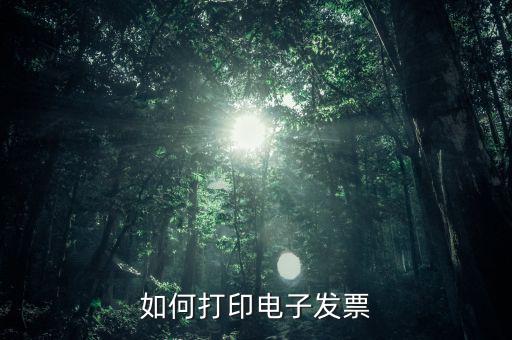如何打印電子稅務(wù)局的電子發(fā)票，電子發(fā)票怎樣打印