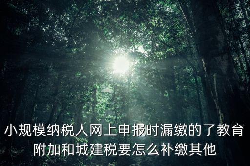 過了征期如何補交城建稅，請問城建稅忘記交怎么辦