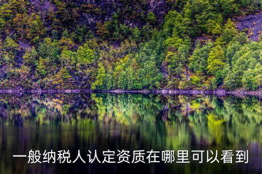 如何查看稅務資質(zhì)，一般納稅人認定資質(zhì)在哪里可以看到