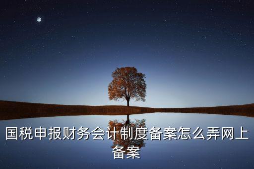電子稅務(wù)局如何會計制度備案，2017年電子稅務(wù)局財務(wù)報表備案是不是可以馬上填寫