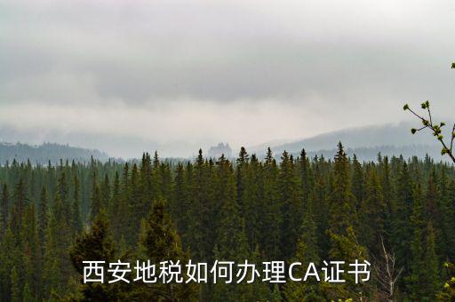 如何申請地稅ca證書，西安地稅如何辦理CA證書