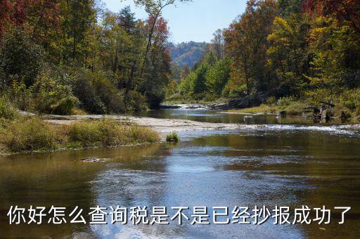 如何查看抄報(bào)成功，稅控發(fā)票開(kāi)票軟件怎么看網(wǎng)上抄報(bào)成功沒(méi)有