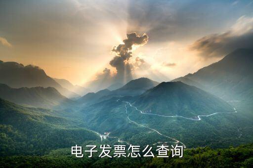 網(wǎng)上查發(fā)票流向如何查，發(fā)票怎么在網(wǎng)上查詢
