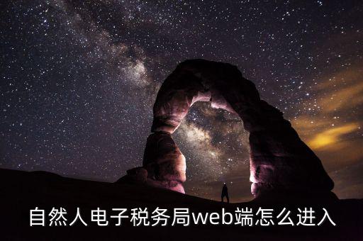 網(wǎng)上稅務(wù)局如何以自然人登錄，電子稅務(wù)局有哪幾種登錄方式