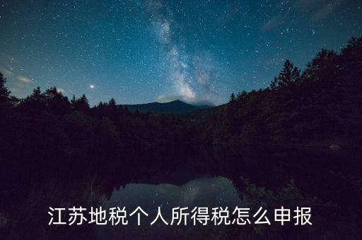 如何申報(bào)年稅江蘇，江蘇地稅個(gè)人所得稅怎么申報(bào)