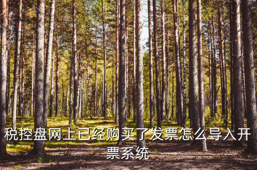 如何進(jìn)入開票系統(tǒng)，怎么進(jìn)入國(guó)家稅務(wù)局發(fā)票填開系統(tǒng)