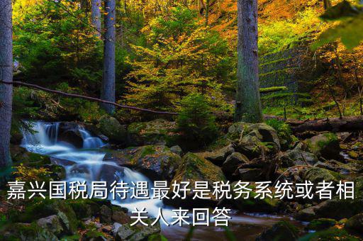 海寧國(guó)稅局待遇如何，嘉興經(jīng)開(kāi)國(guó)稅在哪