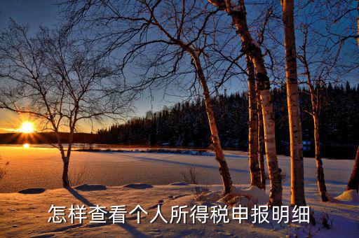 如何查詢個(gè)人所得稅明細(xì)申報(bào)，怎樣查看個(gè)人所得稅申報(bào)明細(xì)