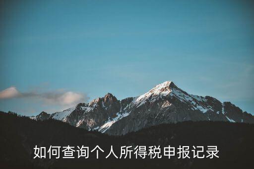 如何查詢(xún)個(gè)人所得稅申報(bào)記錄