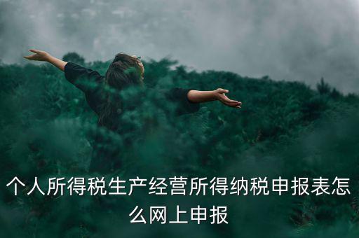 生產(chǎn)經(jīng)營所得如何網(wǎng)上申報(bào)，個(gè)體工商戶網(wǎng)上申報(bào)怎么做